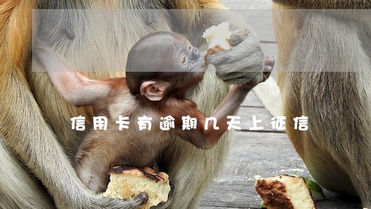 信用卡有逾期几天上征信