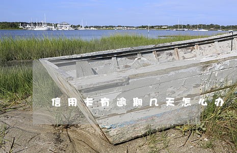 信用卡有逾期几天怎么办 信用卡有逾期几天怎么办