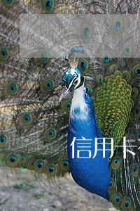 信用卡有逾期几年可以上征信