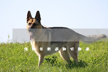 信用卡有逾期分期通 信用卡有逾期分期通