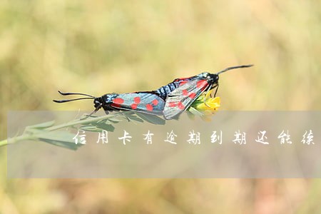 信用卡有逾期到期还能续卡吗 信用卡有逾期到期还能续卡吗