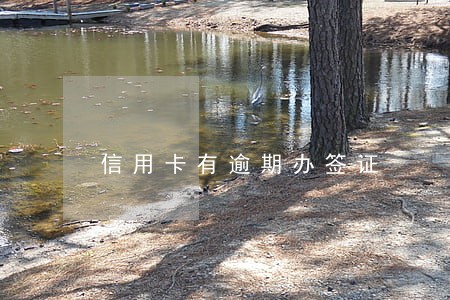 信用卡有逾期办签证 信用卡有逾期办签证