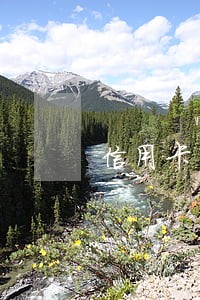 信用卡有逾期十次可以买房 信用卡有逾期十次可以买房
