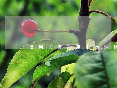信用卡有逾期卡也注销了 信用卡有逾期卡也注销了