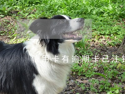 信用卡有逾期卡已注销吗 信用卡有逾期卡已注销吗