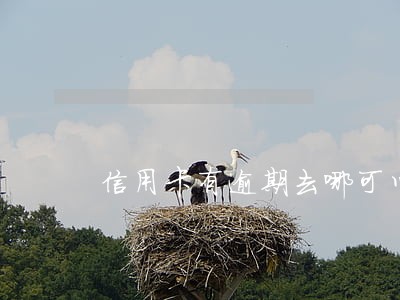 信用卡有逾期去哪可以借到钱