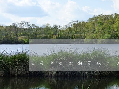 信用卡有逾期可以上公立学校吗 信用卡有逾期可以上公立学校吗