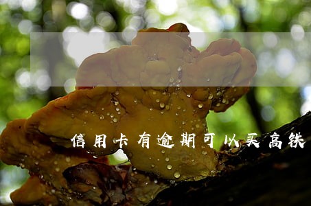 信用卡有逾期可以买高铁票吗 信用卡有逾期可以买高铁票吗