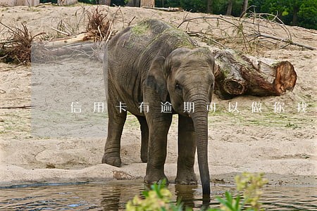 信用卡有逾期可以做你我贷吗 信用卡有逾期可以做你我贷吗