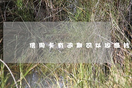 信用卡有逾期可以做商转公吗