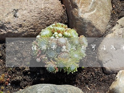 信用卡有逾期可以入深户吗 信用卡有逾期可以入深户吗