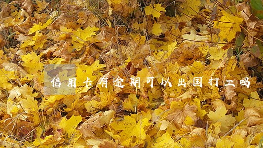 信用卡有逾期可以出国打工吗 信用卡有逾期可以出国打工吗