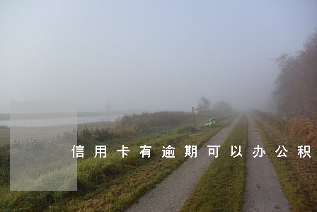 信用卡有逾期可以办公积金吗 信用卡有逾期可以办公积金吗