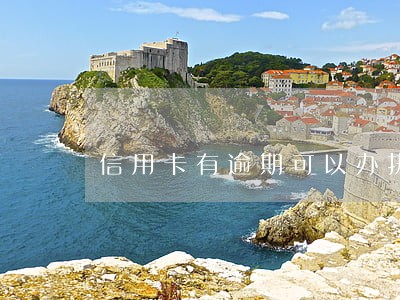 信用卡有逾期可以办执照吗