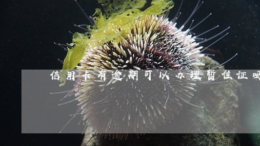 信用卡有逾期可以办理暂住证吗 信用卡有逾期可以办理暂住证吗