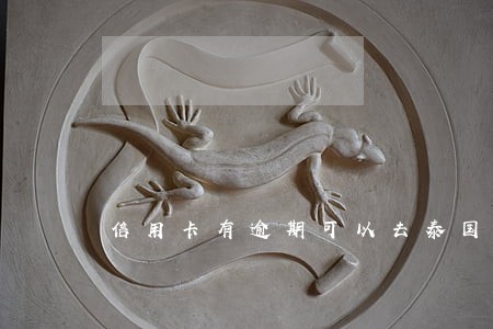 信用卡有逾期可以去泰国吗 信用卡有逾期可以去泰国吗