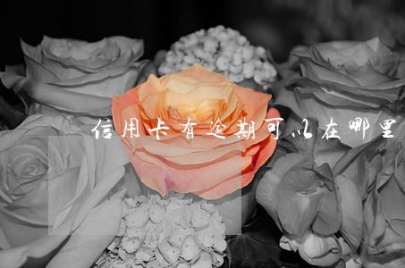 信用卡有逾期可以在哪里办理 信用卡有逾期可以在哪里办理