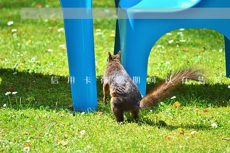 信用卡有逾期可以在转转分期吗