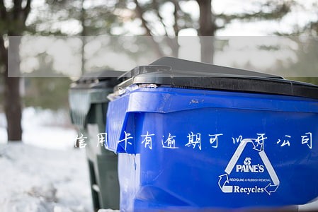 信用卡有逾期可以开公司吗 信用卡有逾期可以开公司吗
