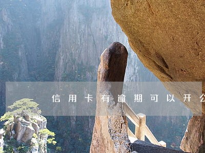 信用卡有逾期可以开公司账户吗 信用卡有逾期可以开公司账户吗