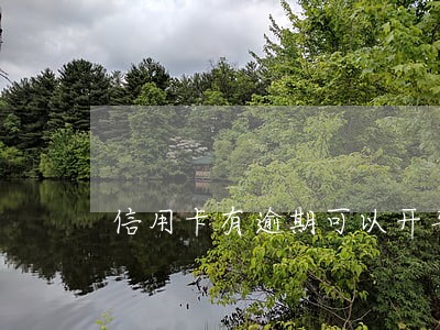 信用卡有逾期可以开车吗 信用卡有逾期可以开车吗