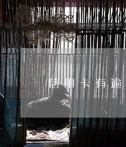 信用卡有逾期可以当消防员吗 信用卡有逾期可以当消防员吗