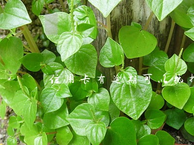信用卡有逾期可以抵押房产证 信用卡有逾期可以抵押房产证