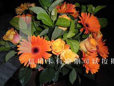 信用卡有逾期可以按揭购车吗