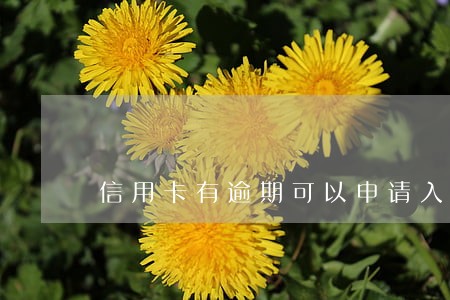 信用卡有逾期可以申请入党吗 信用卡有逾期可以申请入党吗