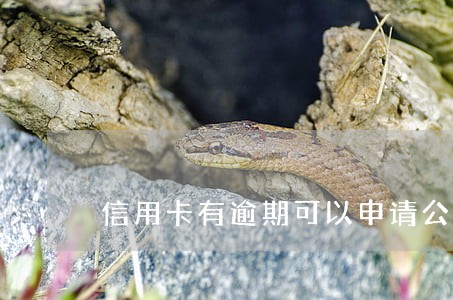 信用卡有逾期可以申请公积金吗 信用卡有逾期可以申请公积金吗