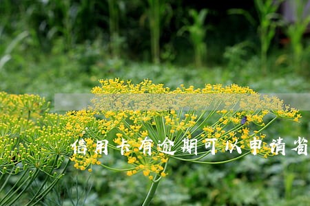 信用卡有逾期可以申请省呗吗