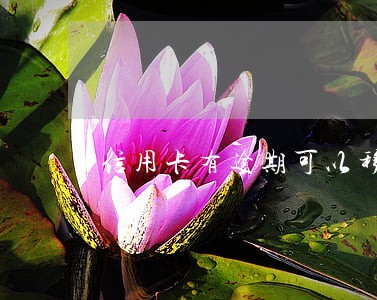信用卡有逾期可以移民香港吗