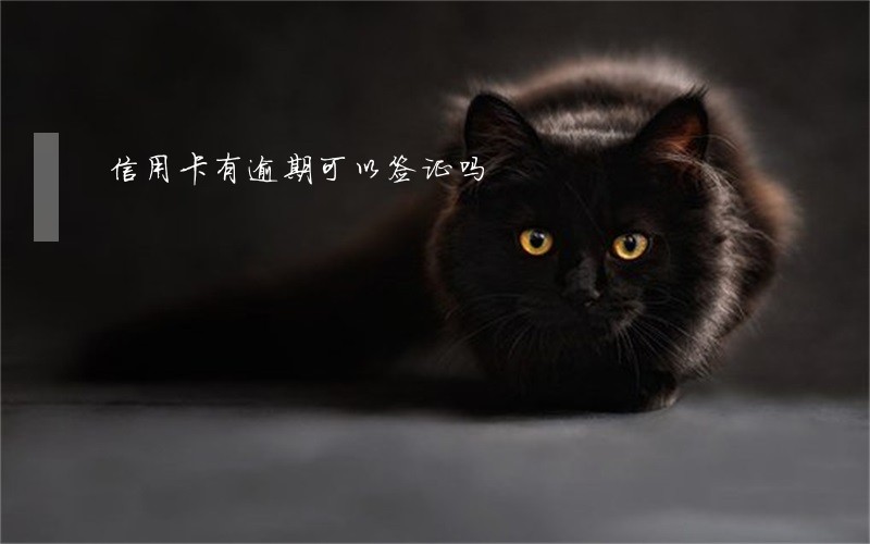 信用卡有逾期可以签证吗 信用卡有逾期可以签证吗