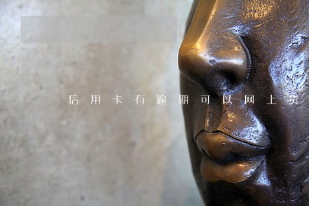 信用卡有逾期可以网上贷款吗 信用卡有逾期可以网上贷款吗