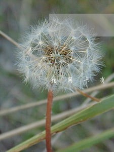 信用卡有逾期可以迁户口吗