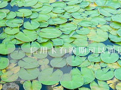 信用卡有逾期可以通过政审