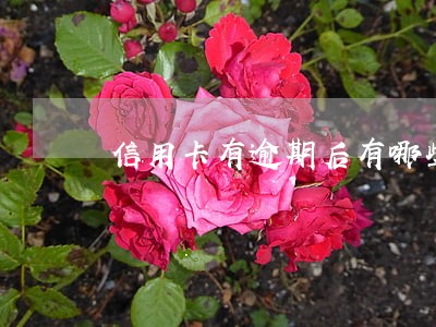 信用卡有逾期后有哪些后果吗 信用卡有逾期后有哪些后果吗