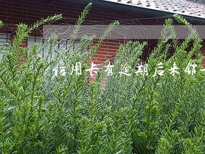 信用卡有逾期后来销卡了 信用卡有逾期后来销卡了