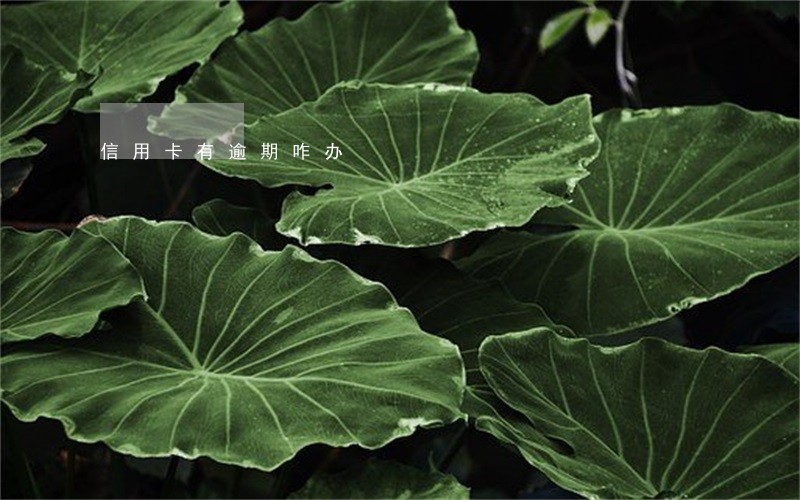 信用卡有逾期咋办 信用卡有逾期咋办
