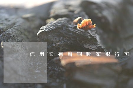 信用卡有逾期哪家银行可以贷款