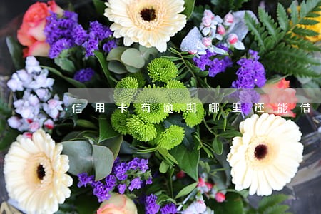 信用卡有逾期哪里还能借到钱 信用卡有逾期哪里还能借到钱