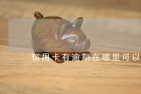 信用卡有逾期在哪里可以借到钱