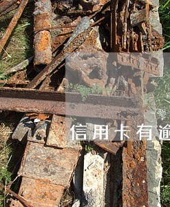 信用卡有逾期在哪里可以贷款