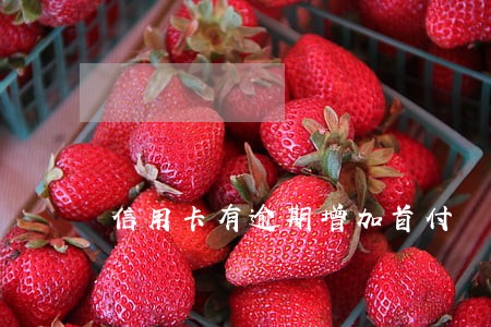 信用卡有逾期增加首付