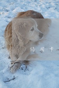 信用卡有逾期多长时间能消除