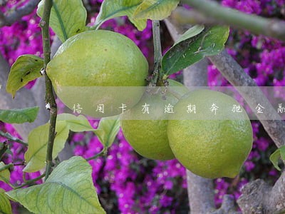 信用卡有逾期奔驰金融能贷款 信用卡有逾期奔驰金融能贷款