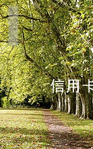 信用卡有逾期小额贷款吗 信用卡有逾期小额贷款吗