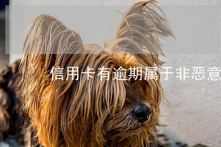 信用卡有逾期属于非恶意逾期吗 信用卡有逾期属于非恶意逾期吗