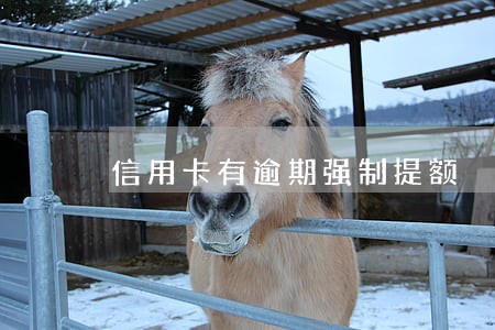 信用卡有逾期强制提额