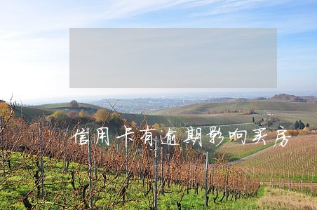 信用卡有逾期影响买房 信用卡有逾期影响买房